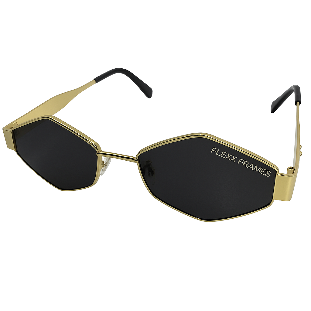 Flexx Frame 2